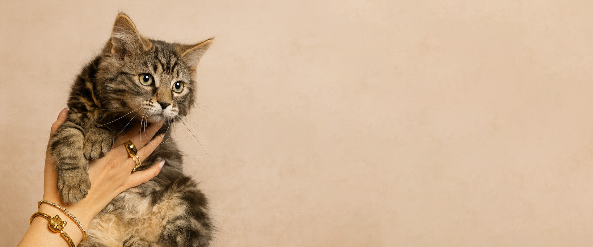 slider image 1621243260e1af0c20-0