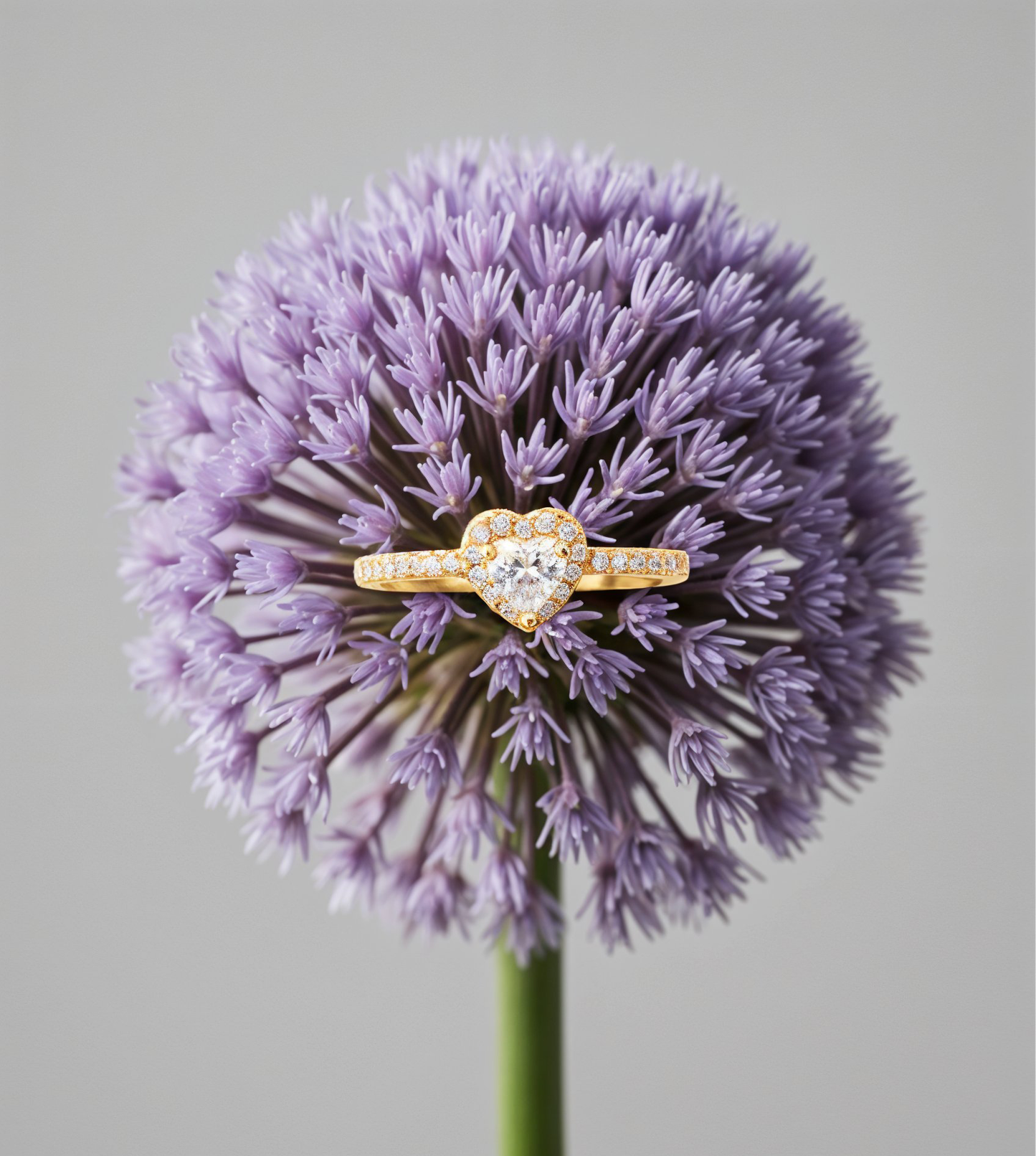 Heart Withe Promise Ring